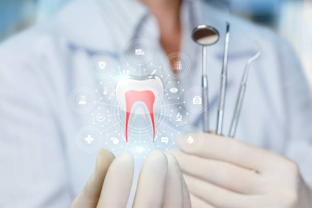 Professional Dental Services in Elysburg, PA